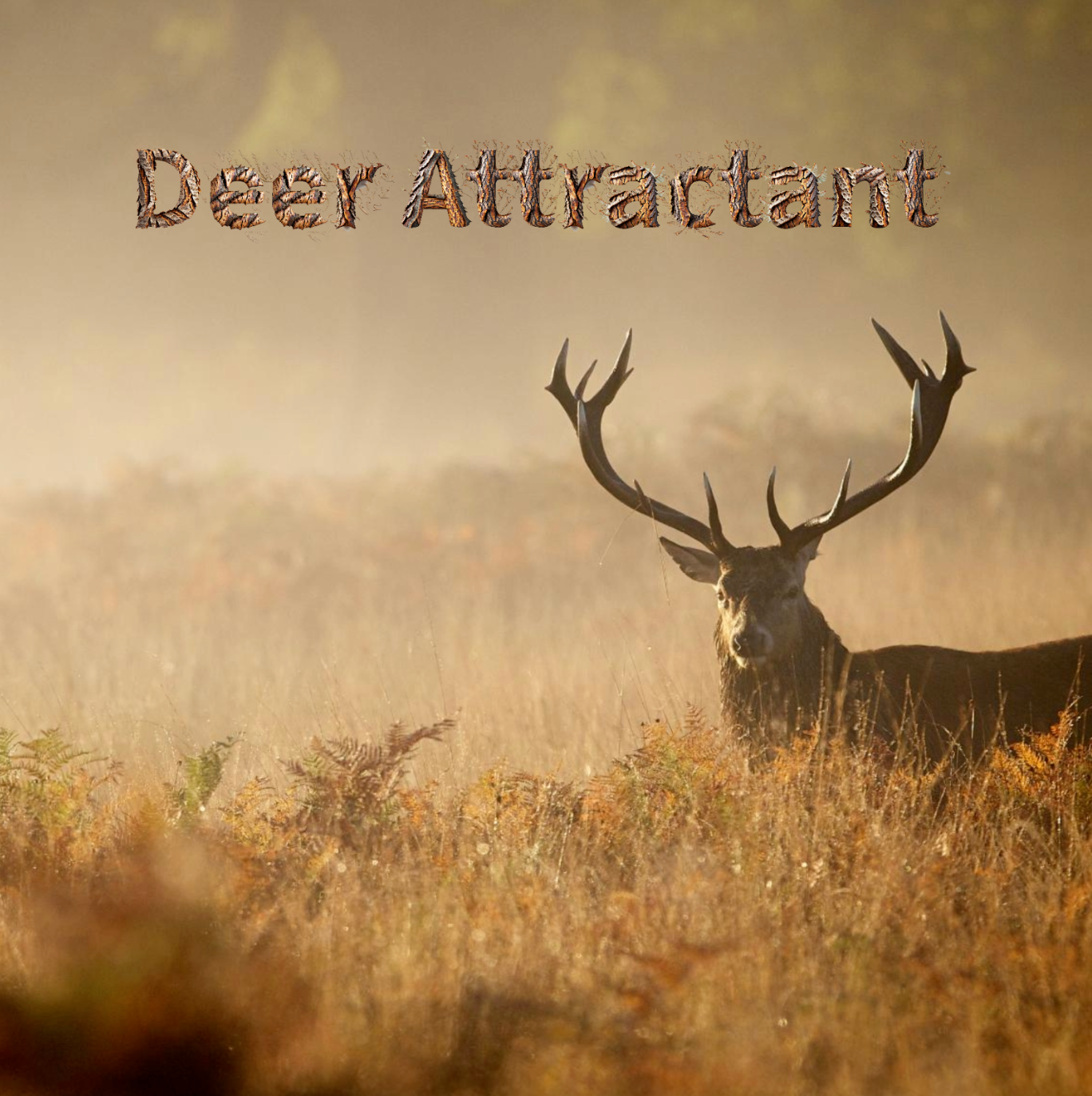 Himalayan Salt Lick Block Deer Attractant with Rope for Hanging 6 lbs for 2pk
