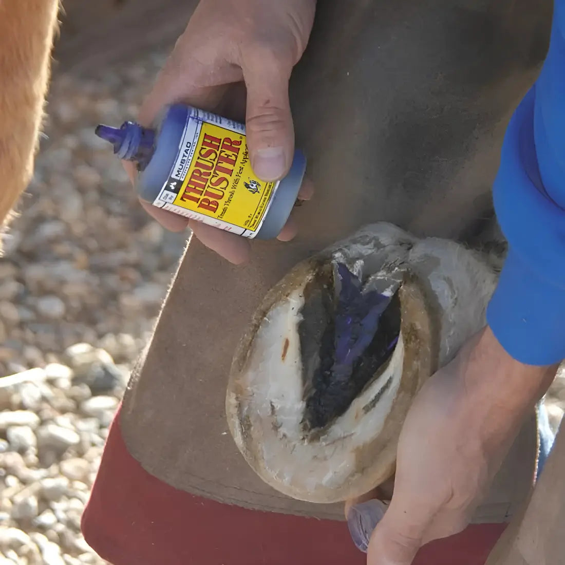 Thrush Buster Hoof Care