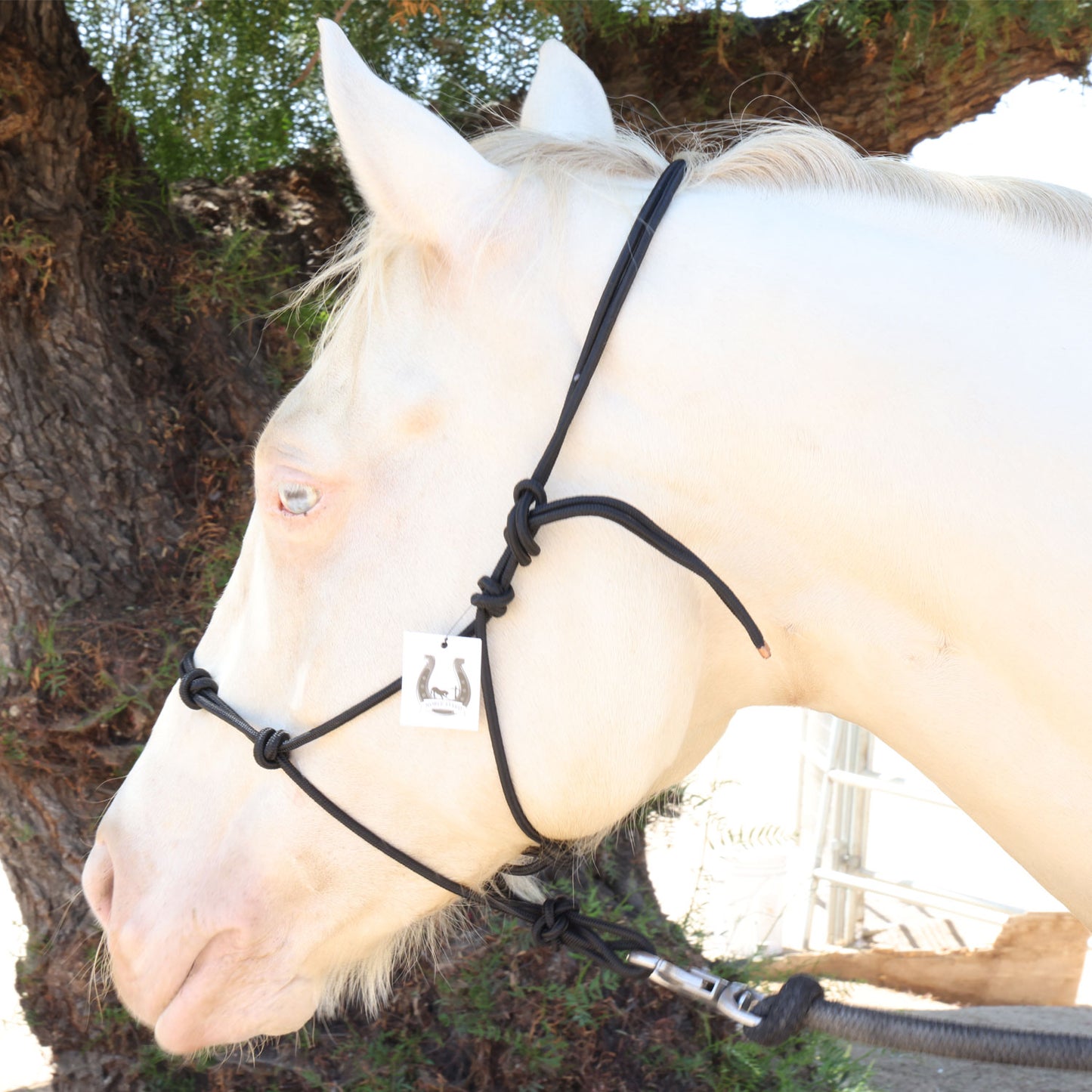 4 Knot Rope Halter For Horses |