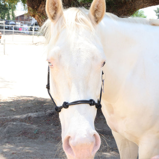 4 Knot Rope Halter For Horses |