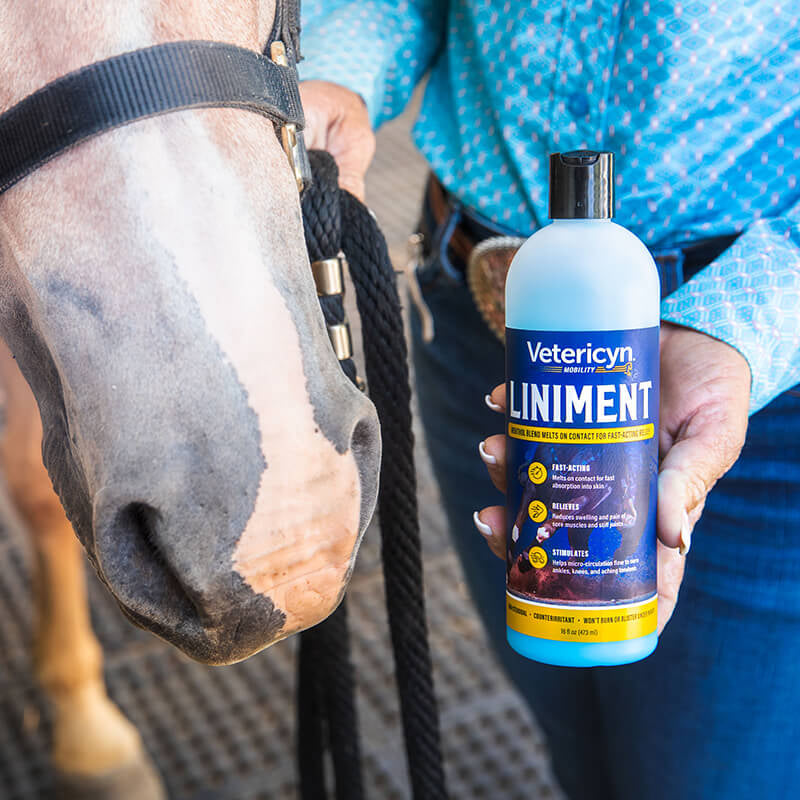 vetericyn equine liniment 16oz