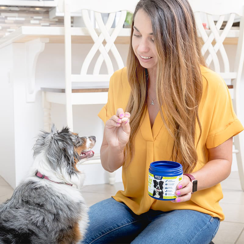 vetericyn all in dog supplement 7.3oz
