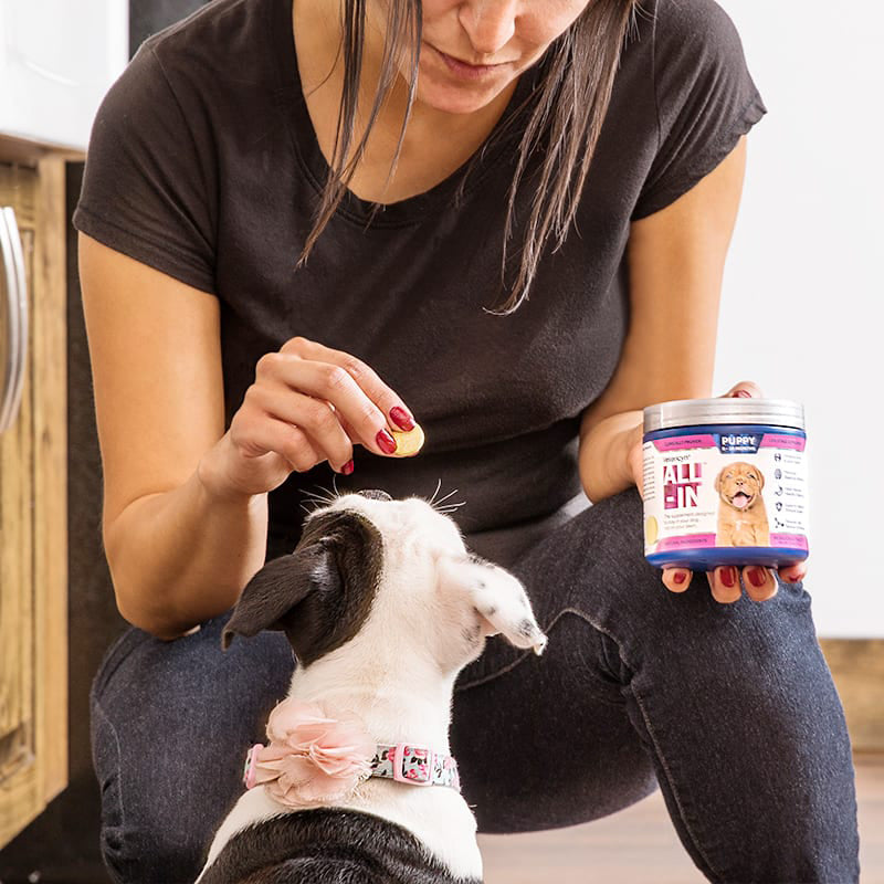 vetericyn all in dog supplement 7.3oz