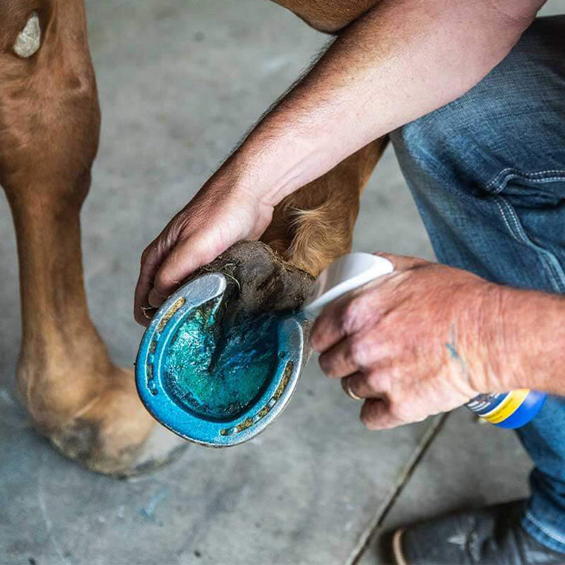 vetericyn hoof care spray 8oz